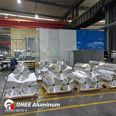 Indian customers visit GNEE factory Indian customers visit GNEE factory